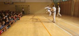 Pokazy taekwondo - wrzesień 2021, foto nr 6, 