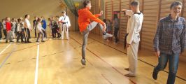 Pokazy taekwondo - wrzesień 2021, foto nr 12, 