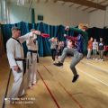 Pokazy taekwondo - wrzesień 2021, foto nr 18, 